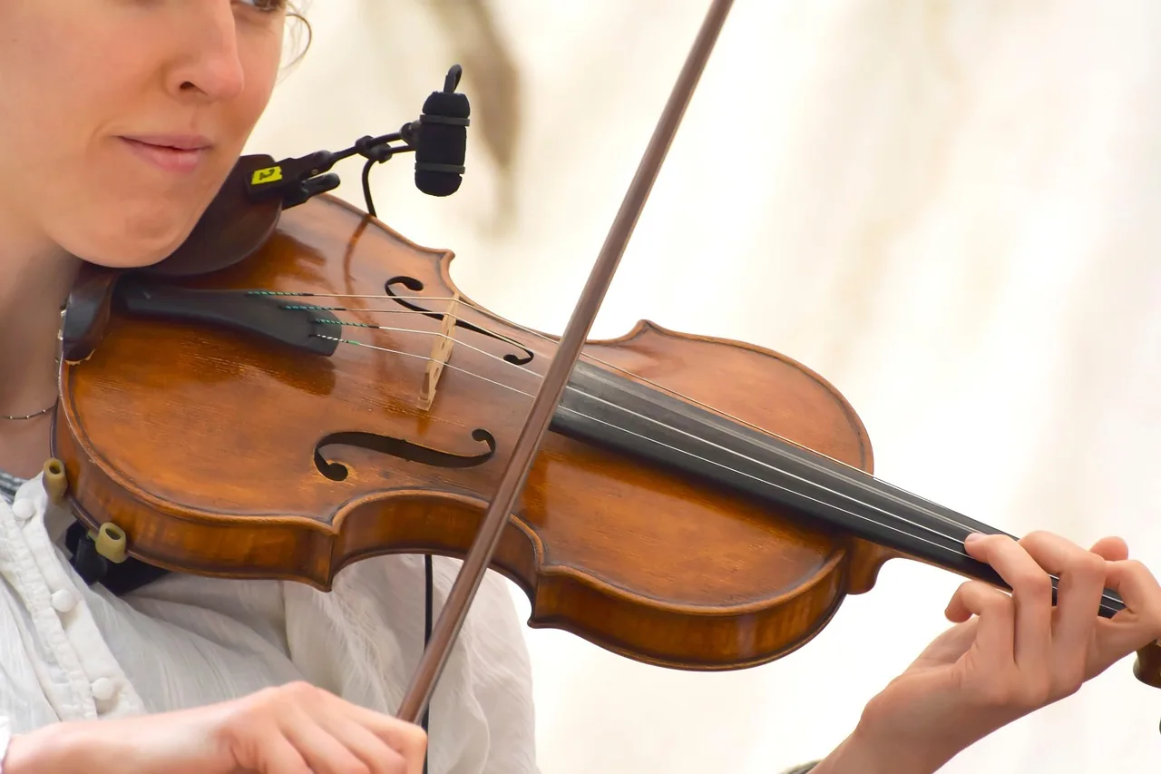Violinist during a musical performance Violinist during a musical performance