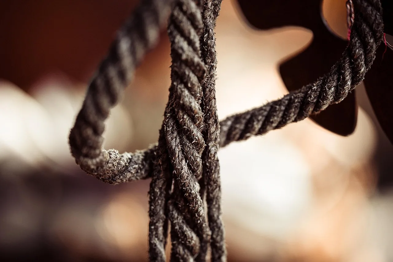 Decorative knot in braided cord Decorative knot in braided cord